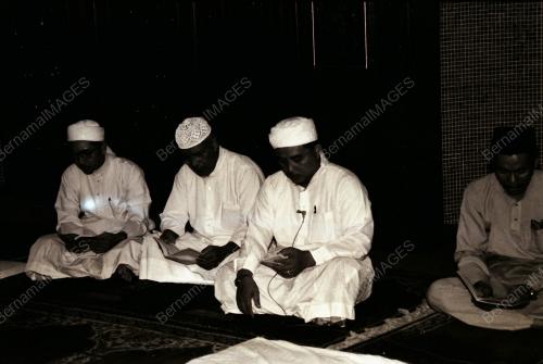PEMUDA UMNO