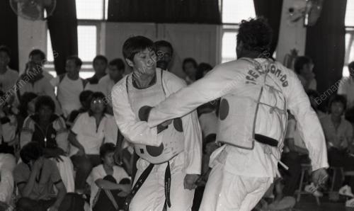 KEJOHANAN TAEKWONDO KEBANGSAAN