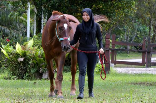 SHARIFAH NOORFASLINA SYED KAMAL