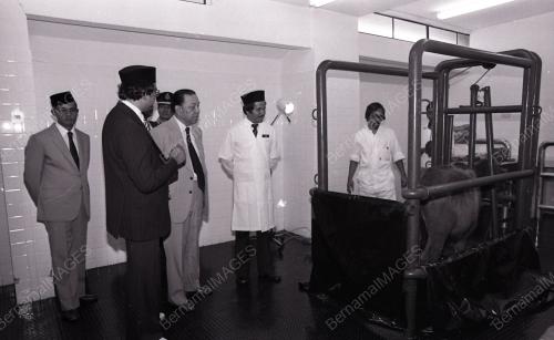 TUANKU JA'AFAR