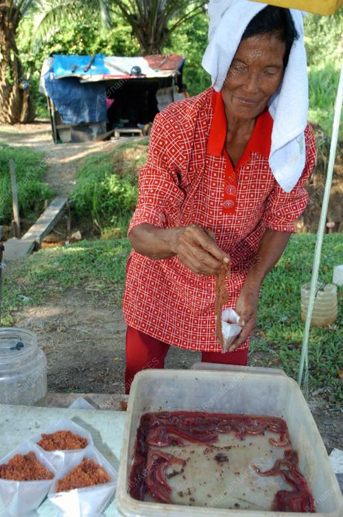 UMPAN PANCING
