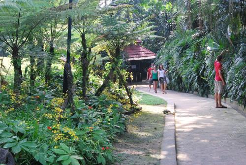 TAMAN ORKID