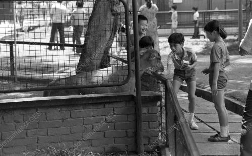 KL03_15012015_ZOO_NEGARA