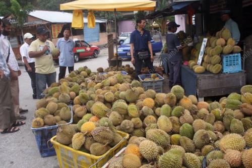 DURIAN_