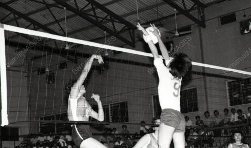 KEJOHANAN BOLA TAMPAR