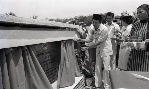 MUSA HITAM