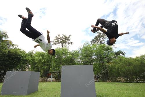 KL03_16082014_FESTIVAL