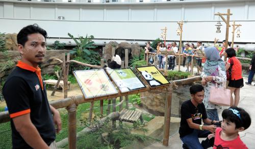 KL03_16112015_PANDA_ZOO_NEGARA