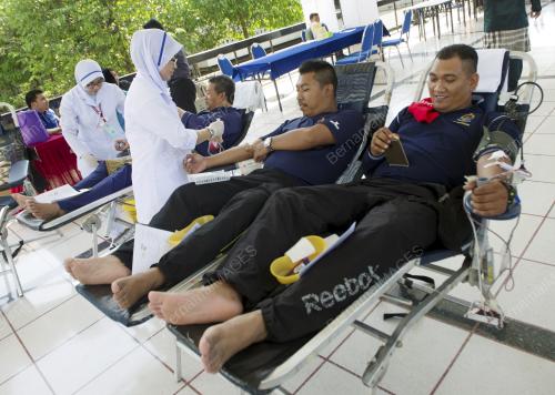 KL03_17042015_DERMA