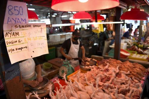 HARGA AYAM