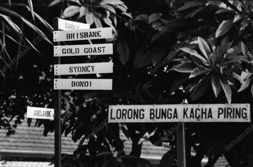 PAPAN TANDA