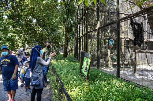 TINJAUAN ZOO NEGARA