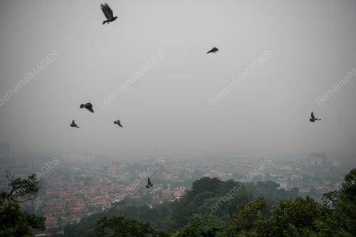 KL03_18092019_JEREBU