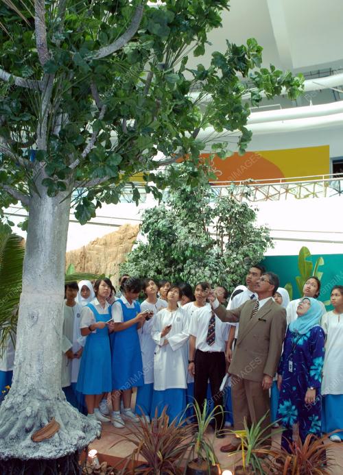 POKOK UNTUK KEHIDUPAN