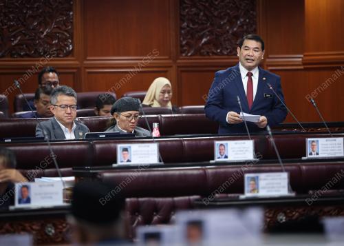RAFIZI RAMLI