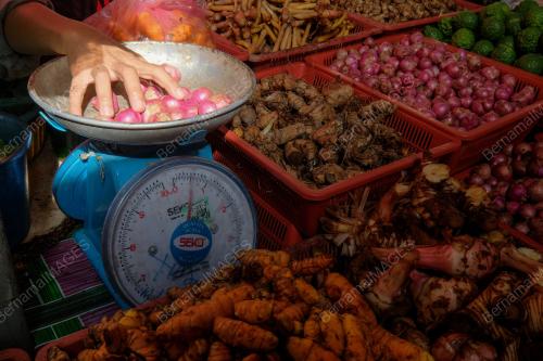 TINJAUAN HARGA BAWANG , DAN PAMER HARGA