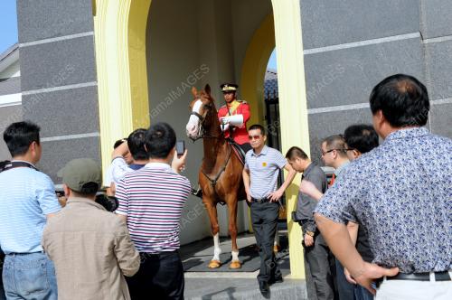 KL03_21022012_BERGAMBAR