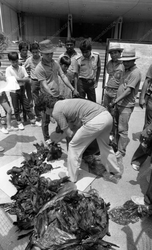 KL03_21082015_TEMBAK_GAGAK