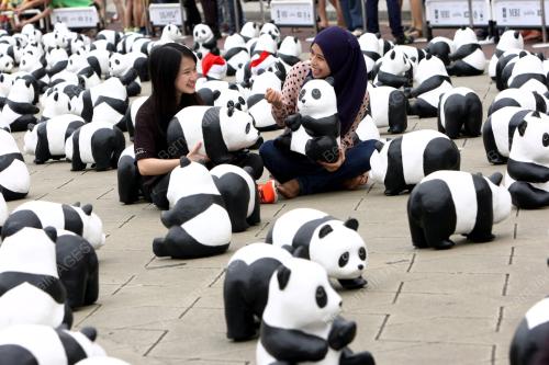KL03_21122014_PANDA