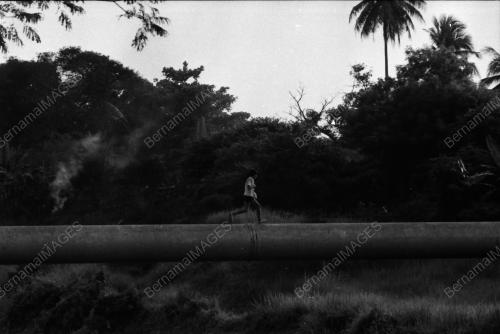 KL03_22061980_BAHAYA
