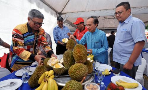 KL03_22072016_DURIAN