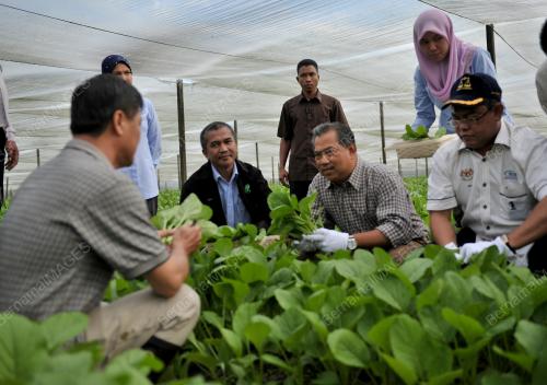 TAN SRI MUHYIDDIN YASSIN