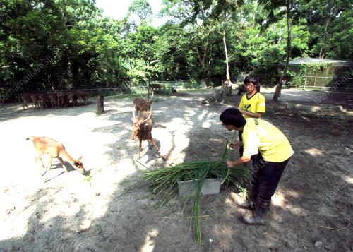 HARI BUMI ZOO NEGARA