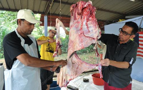 KL03_24092015_PENGASIH