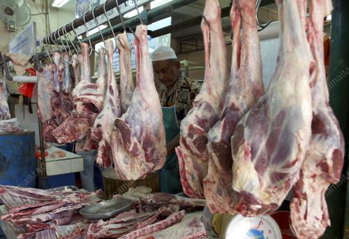 KL03_24122015_KAMBING