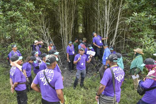 TANAMAN POKOK BAKAU KOMUNITI