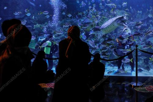 SANTA CLAUS AQUARIA KLCC