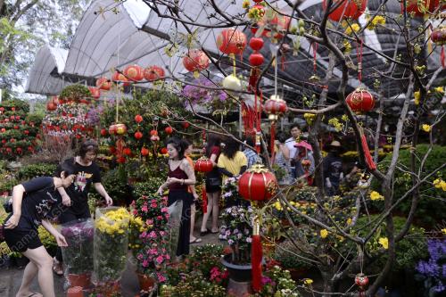 KL03_27012019_BUNGA_CNY