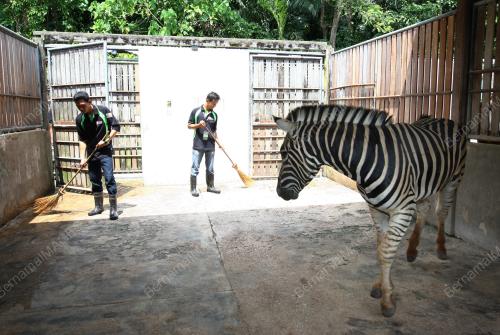 KL03_27022011_KUDA