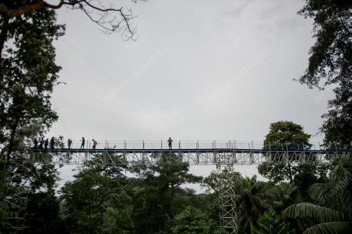 FOREST SKYWALK FRIM KEPONG