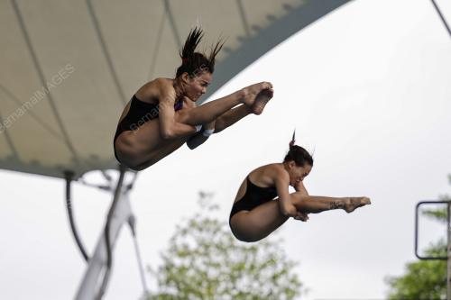 FINA DIVING GRAND PRIX 2022