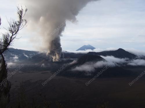 KL03_28022011_PROBOLINGGO