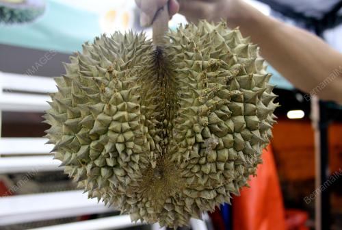 KL03_30062015_DURIAN