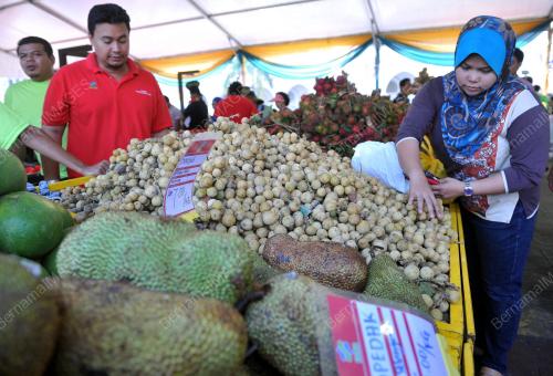 KL03_30072016_DURIAN