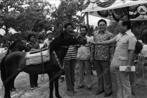 Pergerakan Kuda Bajau