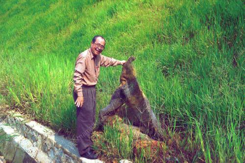 KL04-20_07_2001_HILLSLOPE_28012016