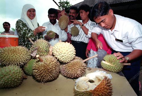 KL04-31_05_2000_BUAH-BUAHAN_07012016