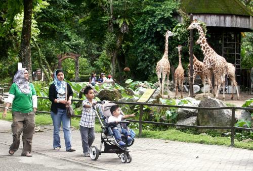 KL04_01022011_ZOO_NEGARA
