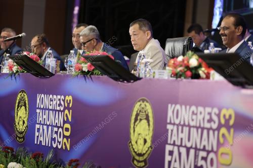 DATUK HAMIDIN MOHD AMIN