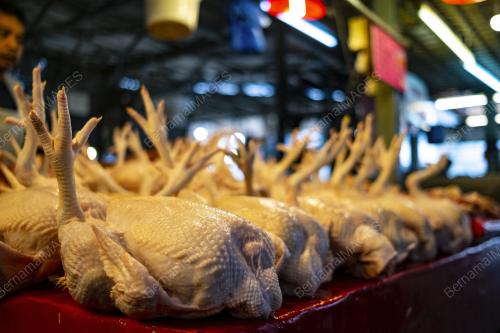 TINJAUAN HARGA BARANG KEPERLUAN HARIAN