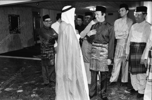 MUSA HITAM