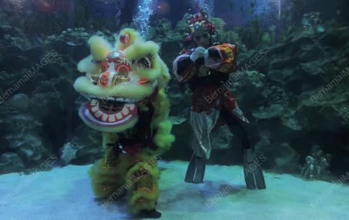 KL04_03022017_AQUARIA