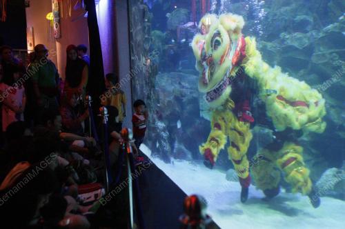 KL04_03022017_HARI_KRAF