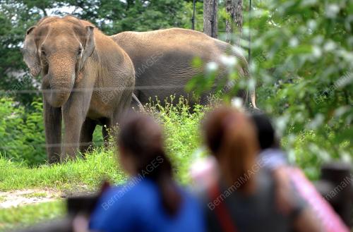 KL04_03052015_ZOO_NEGARA