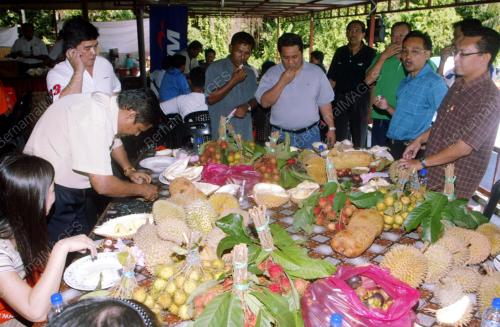 BUAH-BUAHAN TEMPATAN