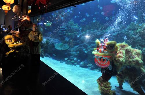 KL04_04022014_AQUARIA